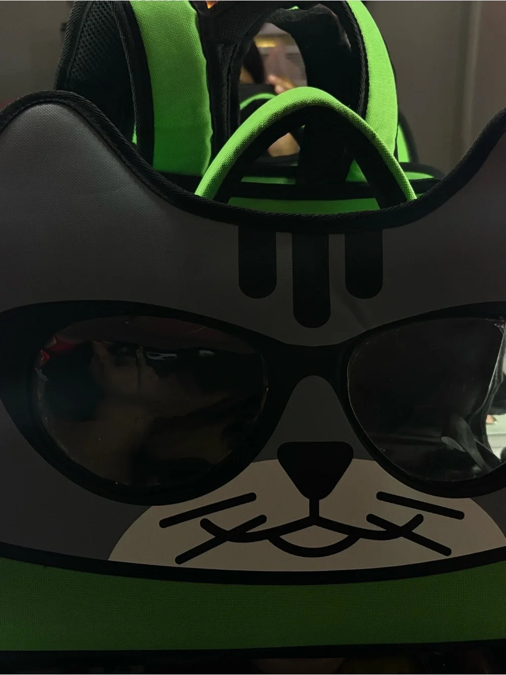 Green Cat-Themed Pet Carrier Backpack